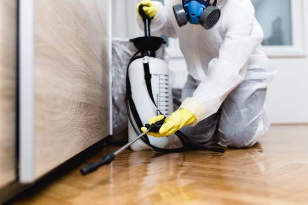 Best Wasp Removal Services  in Berkley, MI