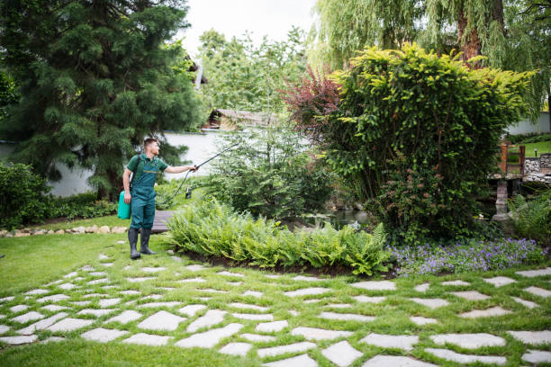 Wasp Removal Services in Berkley, MI