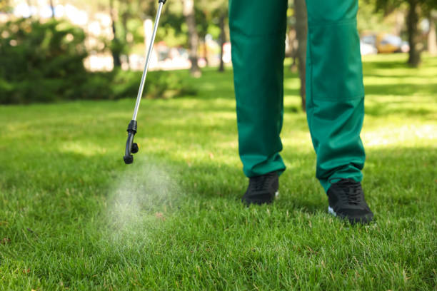 Best Rat Extermination Near Me  in Berkley, MI