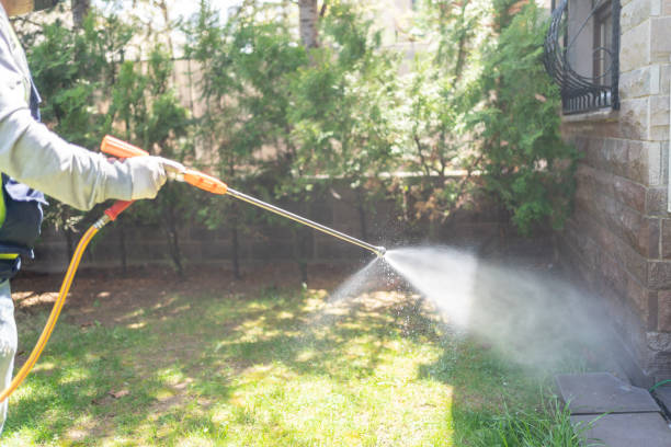Best Bird Control  in Berkley, MI